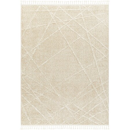 Rudy RDY-2307 Area Rug , With Fringe